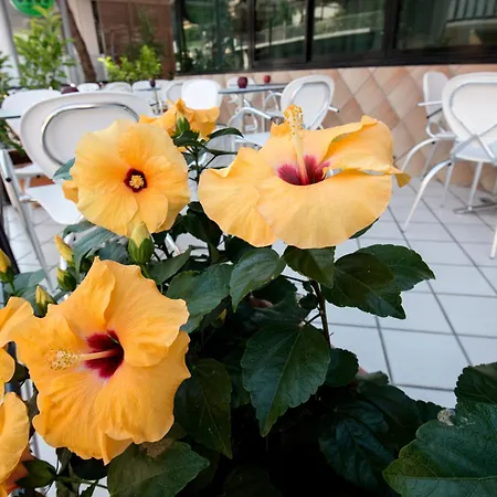 Hotel Scarlet-2