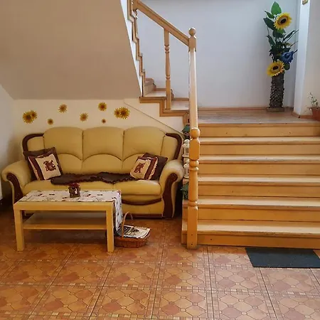 Floarea Soarelui-3