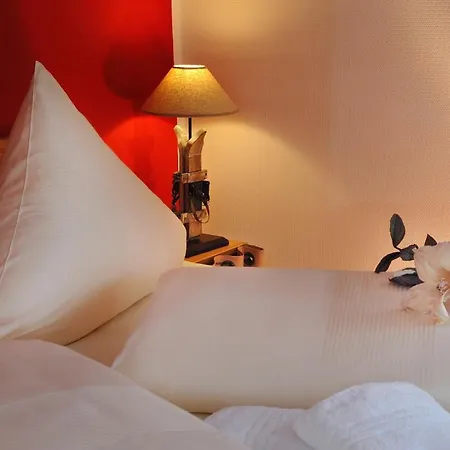 Hotel Goldener Stern-2