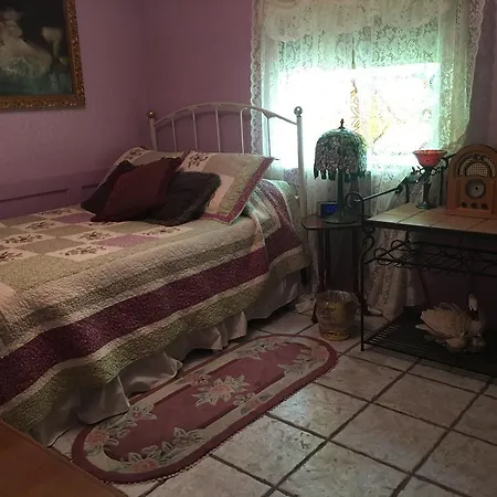 Shady Lady Bed And Breakfast-3