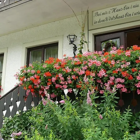 Gasthof-Pension zur Klause-3