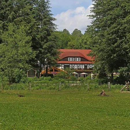 Hotel Boltenmühle-3