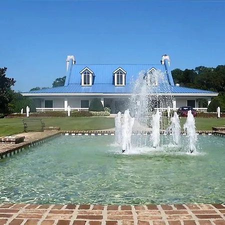 Pawley'S True Blue-3