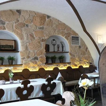 Hotel-Restaurant Mayerhofer-3