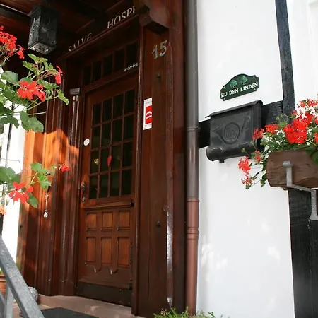 Hotel Gasthof Zu den Linden-3