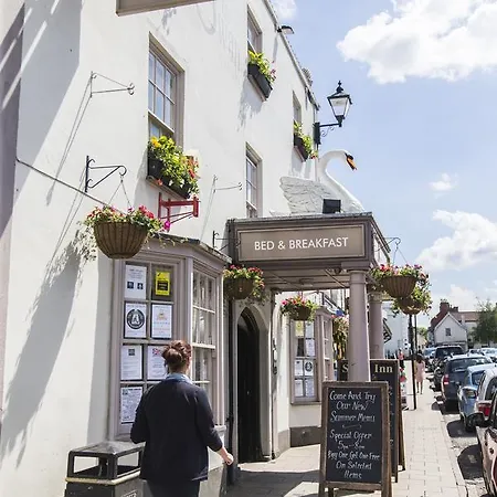 The Swan-3