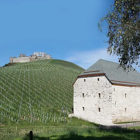 Weingut Taggenbrunn-3
