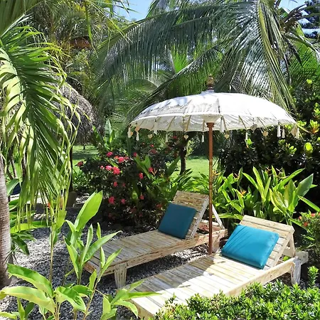 Indigo Yoga Surf Resort-3
