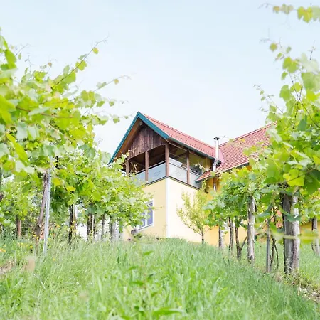 Buschenschank Ofnerpeter-2