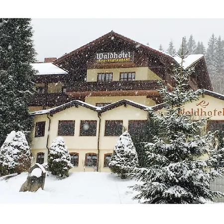 Waldhotel Seebachschleife-3