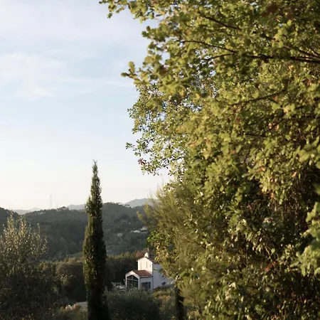 B&B La Fustaia-3