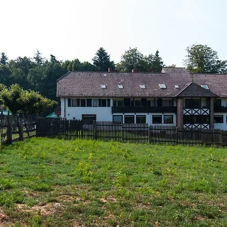 Hotel-Restaurant Johanniskreuz-2