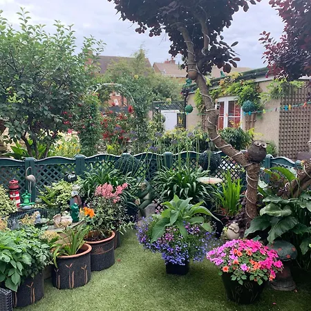 Savoy-3