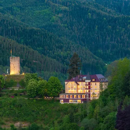 Hotel Schloss Hornberg-3