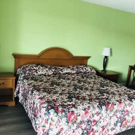 Flamingo Beach Inn-2
