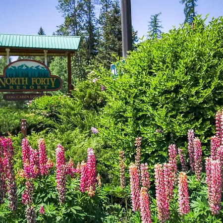 North Forty Resort-2