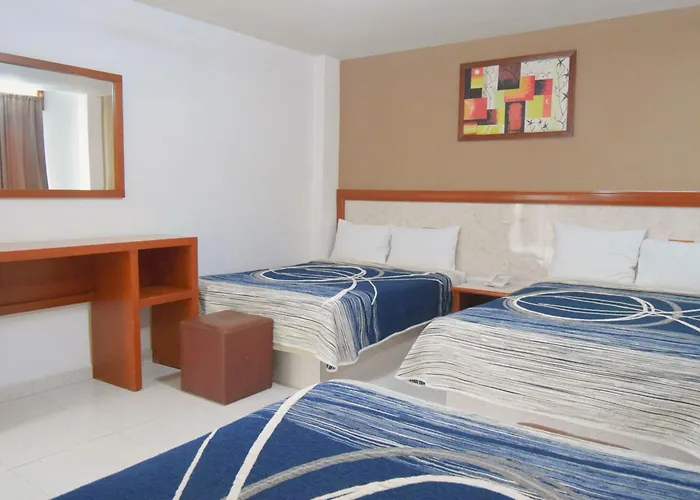 Hotel Niza Zona Piel