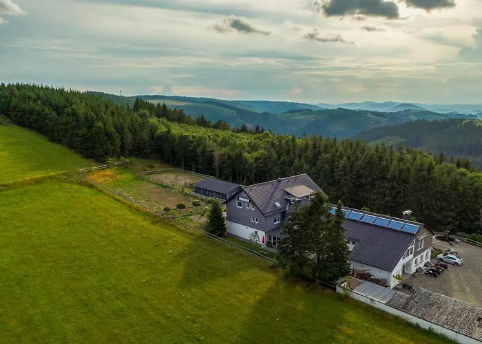 Hondvriendelijke hotels in Winterberg