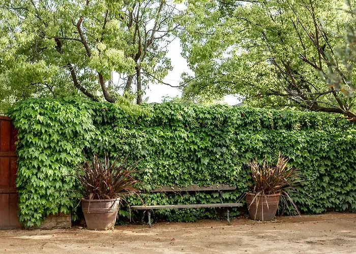 Seven Branches Venue And Inn