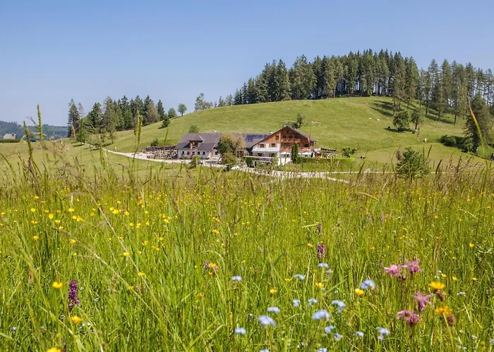 Frühstückspension Windlegern Neukirchen 
