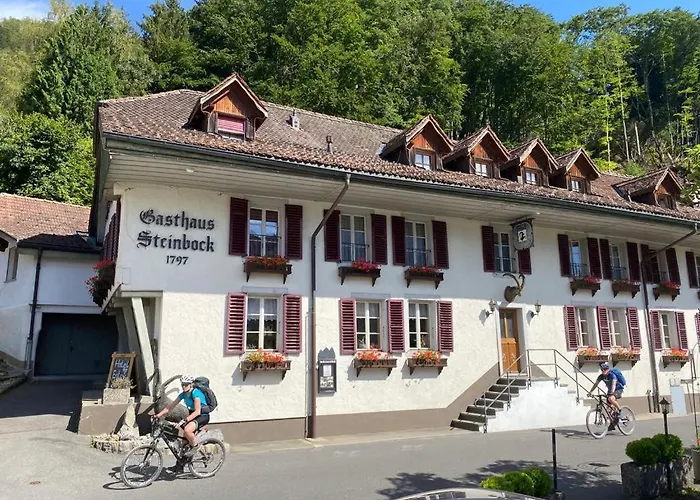 Historic Hotel Steinbock
