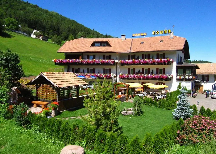 Hotel Pausa
