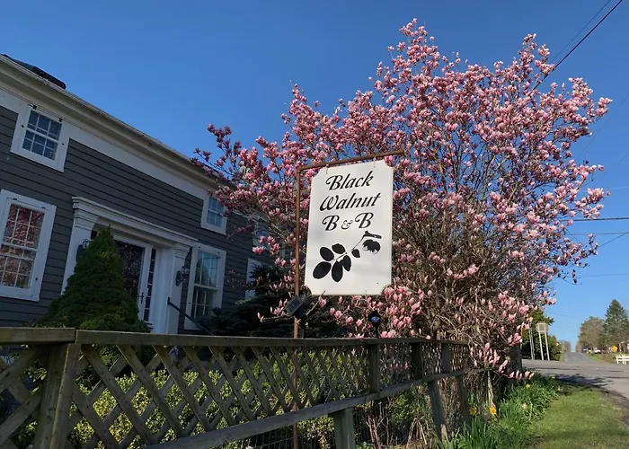 Black Walnut Bed And Breakfast