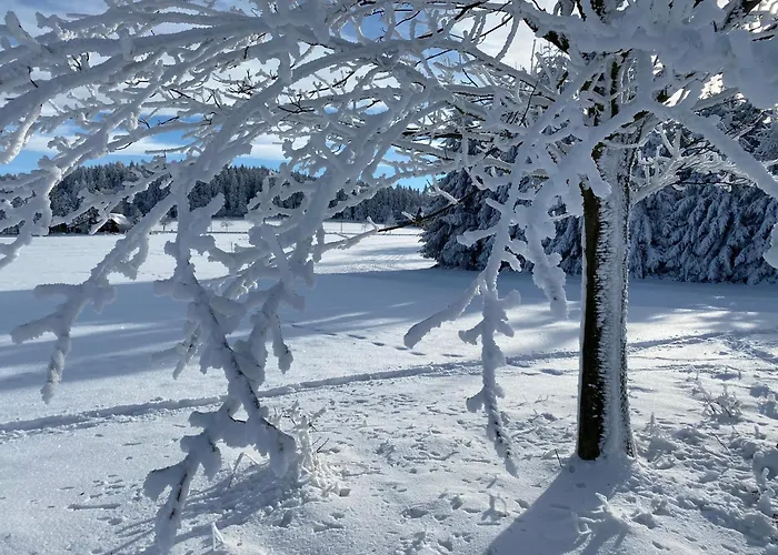 Berghotel Talblick Holzhau