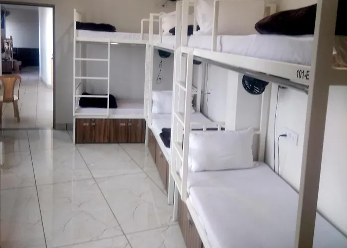Ahmedabad Dog Friendly Hotels