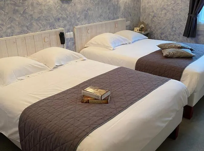 Logis Hôtel Auberge De L'ecole Pontlevoy