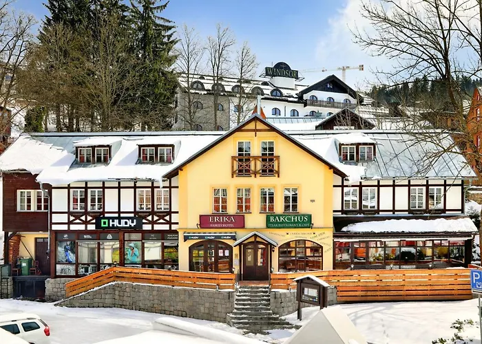 Hotel Erika