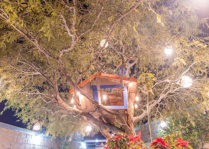 Hotel Casa del Arbol