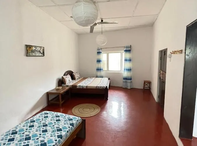 Hôtels de Zanzibar qui acceptent les chiens