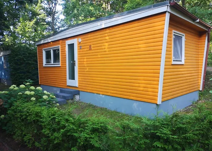 Waldkiez Tiefensee