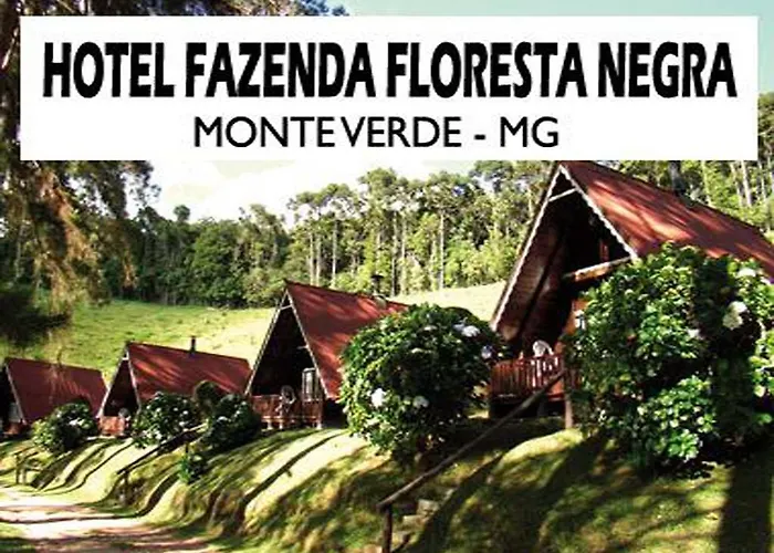 Hotel Fazenda Floresta Negra