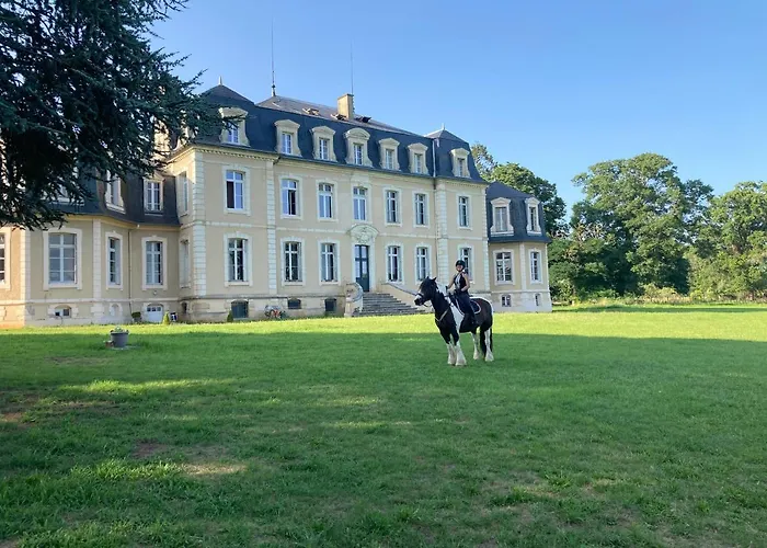 Château de la Bouchatte chambre les Roses Chazemais