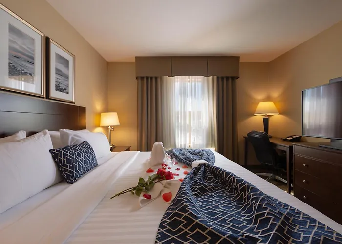 Courtenay Dog Friendly Hotels