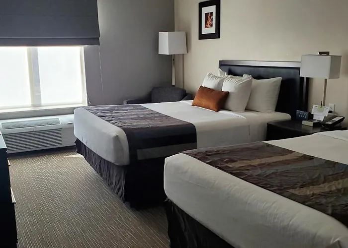 Page Dog Friendly Hotels