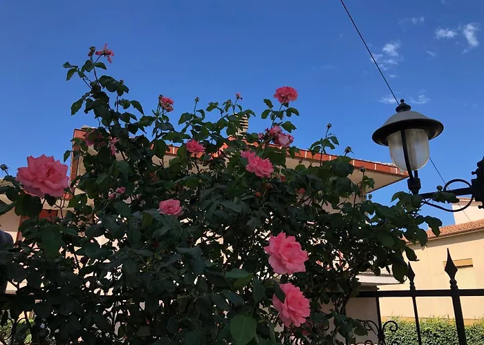 Hotel Zodiaco Bolsena