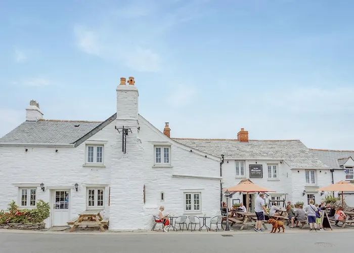 Tintagel Dog Friendly Hotels