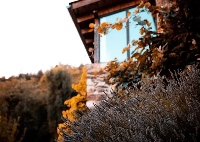 Maison d'hôtes Le Hameau de la Mûre
