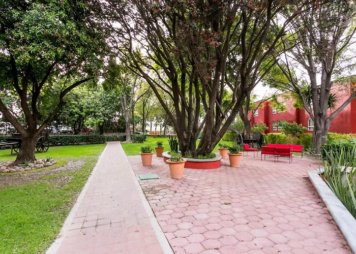 Hoteles que admiten perros en San Miguel de Allende 