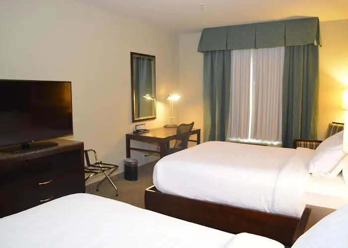 Hilton Garden Inn Houston-Pearland