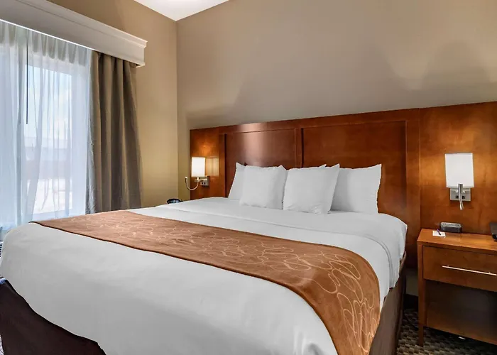 Comfort Suites Near Texas A&M - Corpus Christi