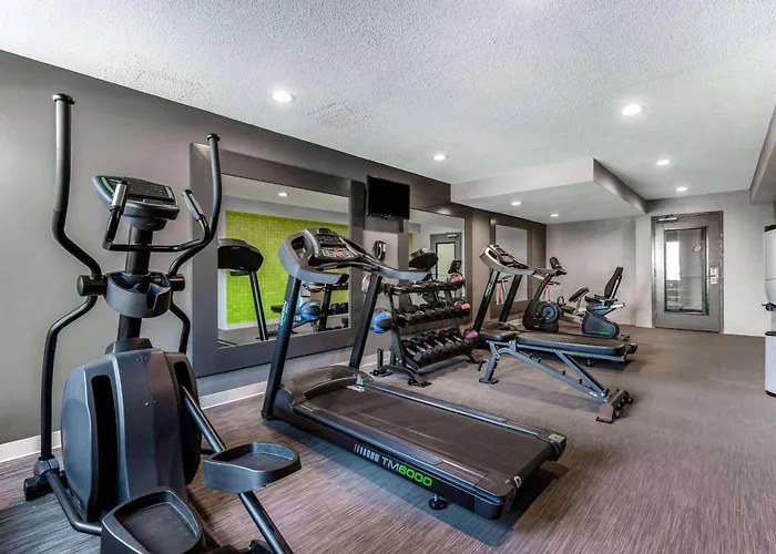 North Myrtle Beach Dog Friendly Hotels