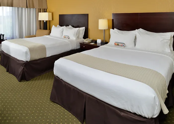 Holiday Inn St. Petersburg N - Clearwater By Ihg Pinellas Park