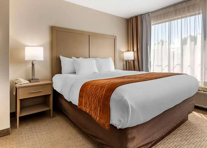 Comfort Inn & Suites Farmington - Victor
