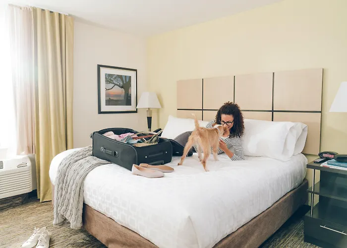 Sonesta Simply Suites Detroit Ann Arbor