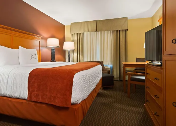 Best Western Plus Deer Park Hotel And Suites Craig