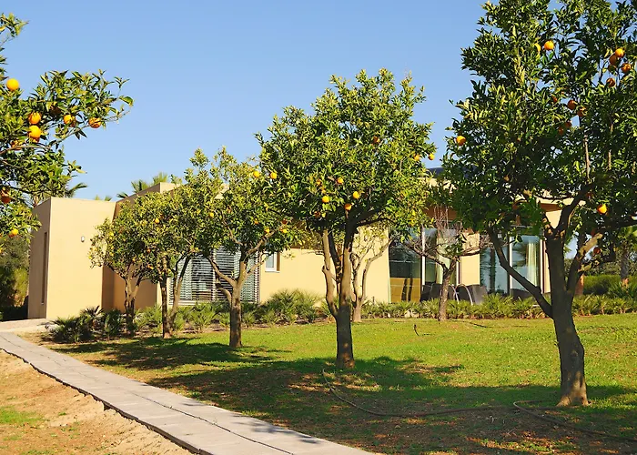 Montargil Monte Novo Hotel